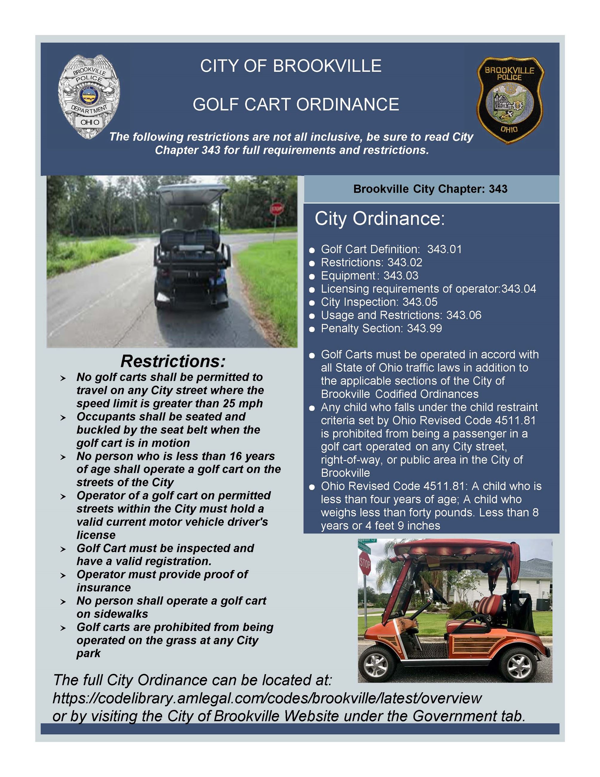 Golf Cart Flyer
