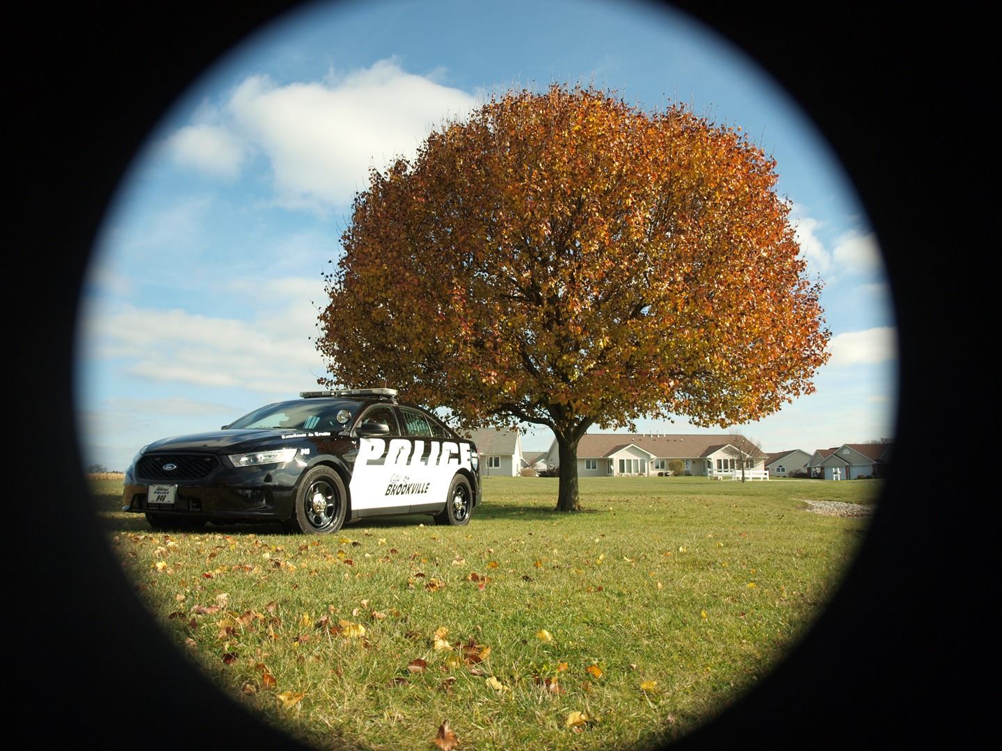Police Patrol Car Next to a Tree with Autumn Colored Leaves
